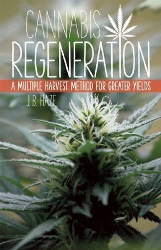 Cannabis Regeneration: A Multiple Harvest Method For Greater Yields | Green Candy Press
