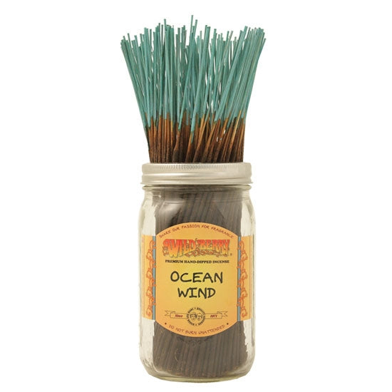 100pk Incense | Wild Berry